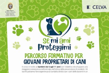 Percorso formativo per giovani proprietari di cani
